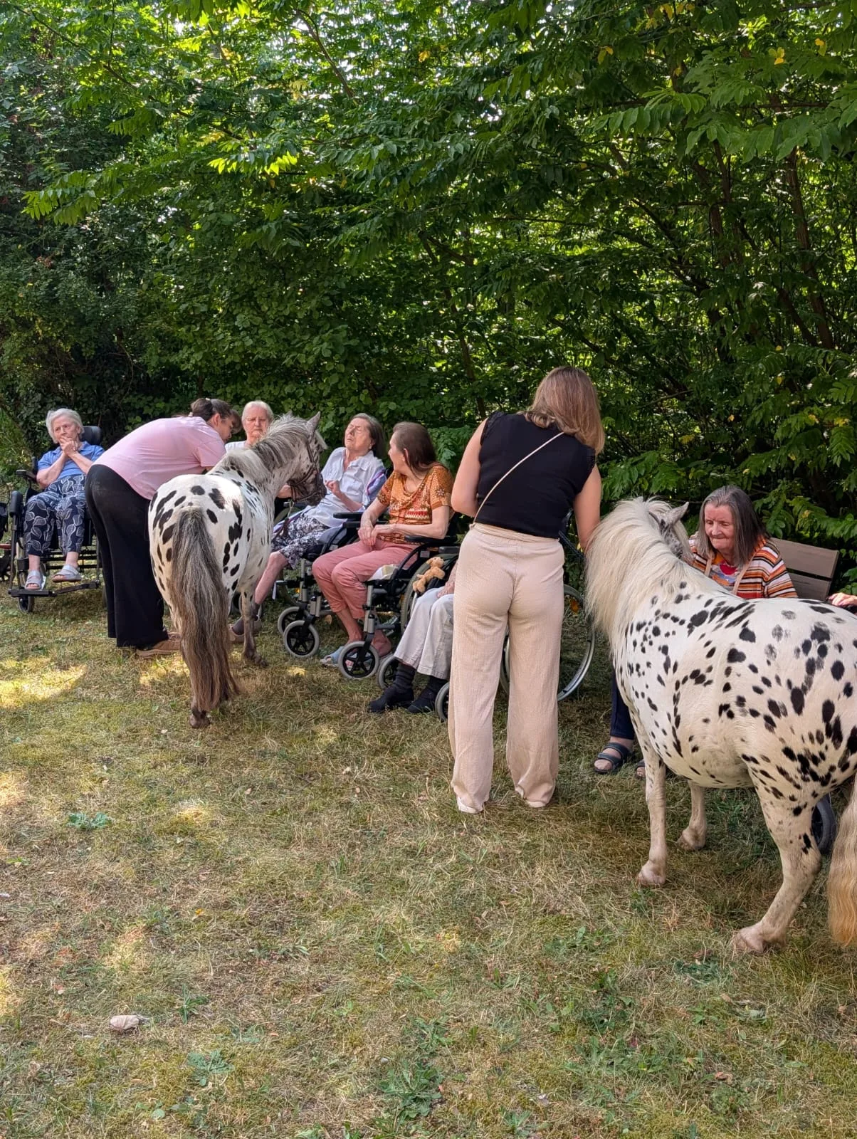 Ponys zu Besuch bei Pflegeheimbewohnern