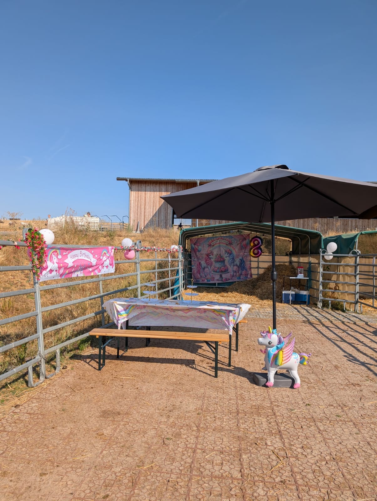Geburtstagsplatz mit Sonnenschirm, Einhorn-Banner und aufblasbarem Einhorn bei Pünktchen Ponys